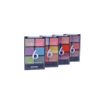 6 Color eyeshadow BYY072-A3